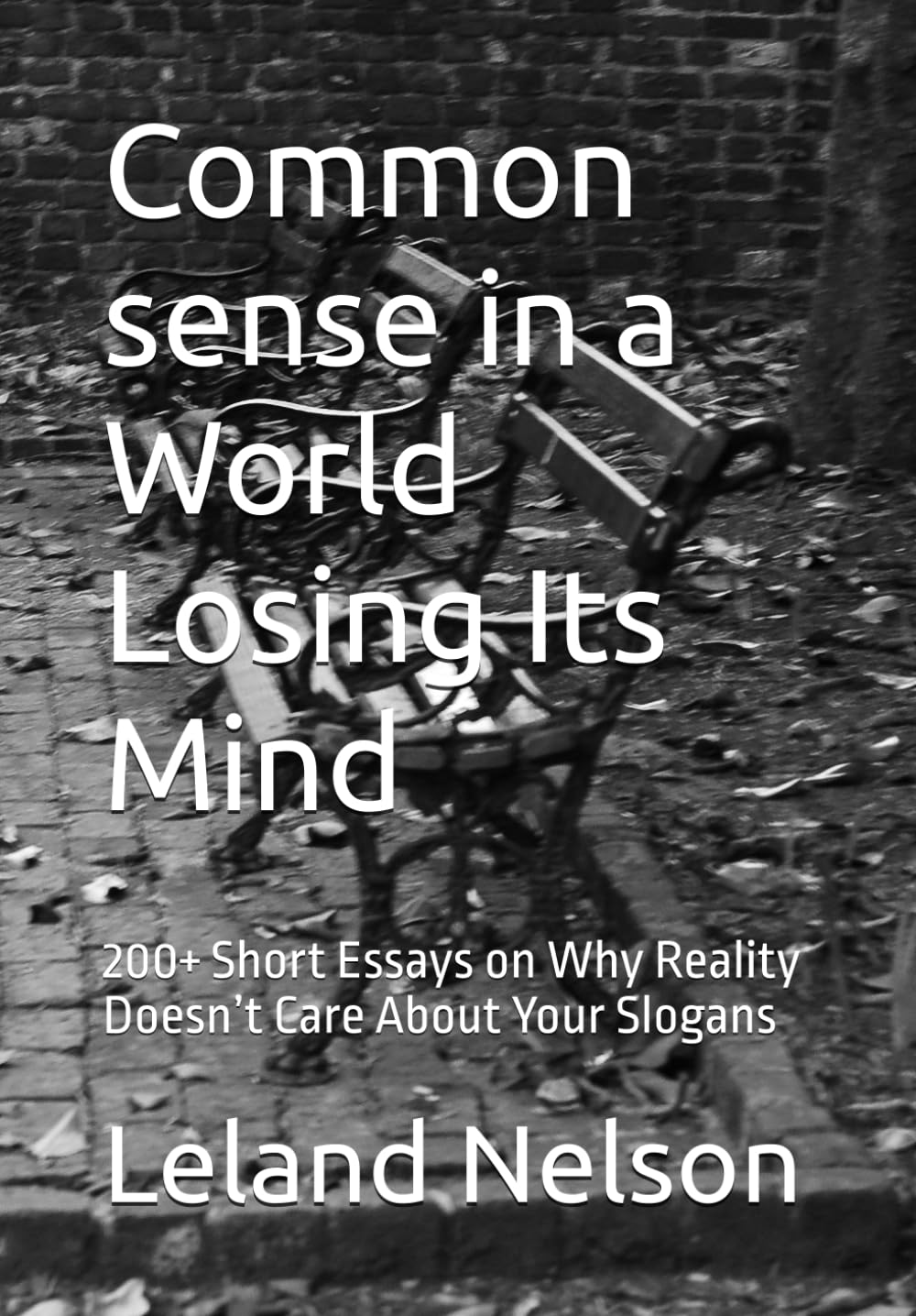 Common sense in a World Losing Its Mind: 200+ Short Essays on Why Reality Doesn’t Care About Your Slogans