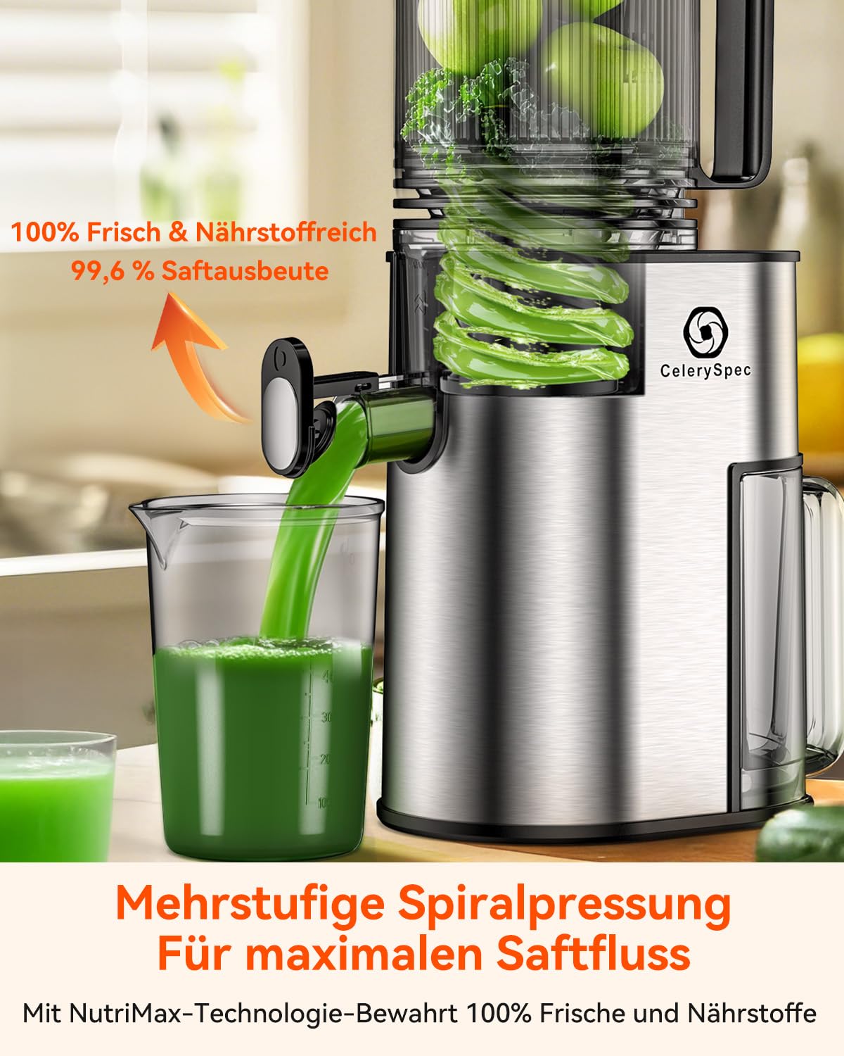 Slow Juicer Testsieger, Entsafter für Ganze Gemüse und Obst, Juicer Machine mit 130 mm Einfüllöffnung, 1,8L, BPA-frei, 250W, Rücklauffunktion, einfache Reinigung, Edelstahl Schwarz