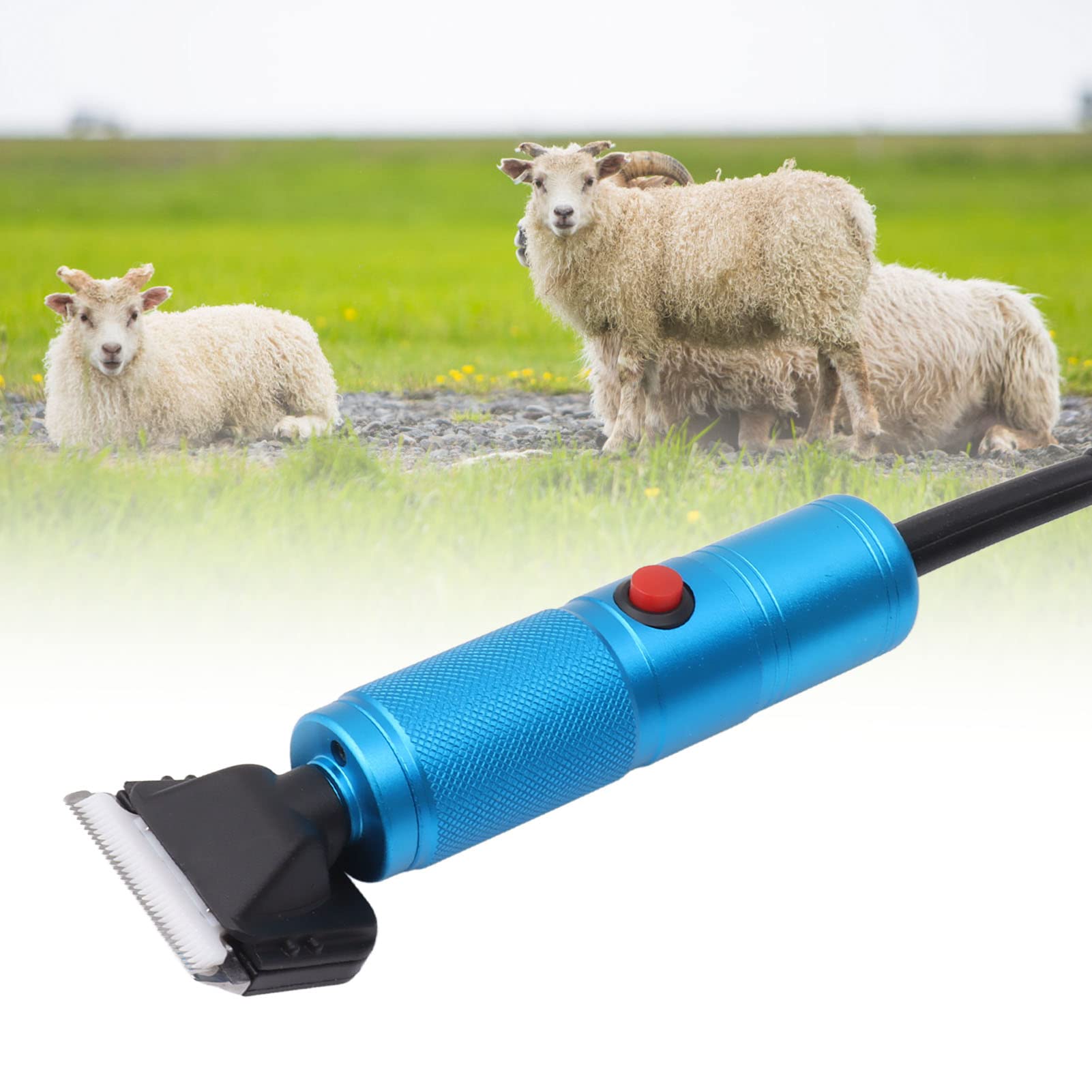 BestAlice Tijeras de Ovejas Eléctricas Profesionales, Cortapelos de Animales para Ovejas, Alpacas, Cabras, Máquina de Corte de Animales para Gatos, Perros, Mascotas, Tijeras de Pelo(EU)
