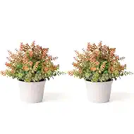 2pcs Small Artificial Plants with Flower Fake Potted Plants for Shelf Decor and Bathroom Plants Decor Livingroom Table and Office Desk(Autumn Orang)
