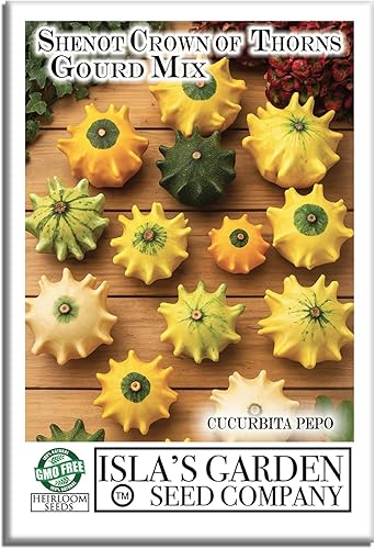 Crown of Thorns Shenot - Semillas de calabaza Shenot, más de 30 semillas tradicionales por paquete, (semillas de jardín de Isla), nombre científico: