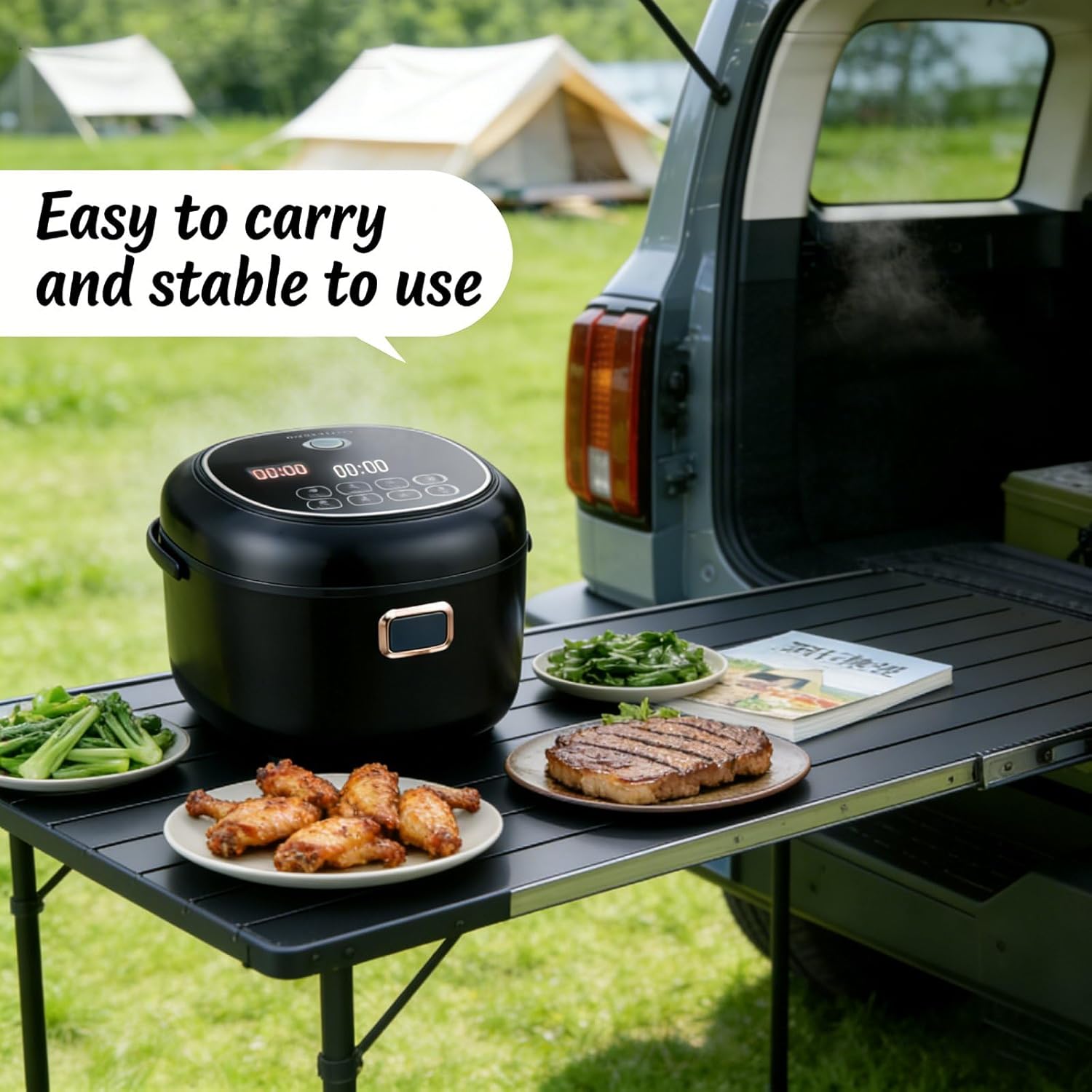 Mini Rice Cooker 2L Electric Lunch Box Food Heater 12V/24V Portable Non-Stick Travel For Car Truck Small Rice Cooker with Steam Tray Cooking Heating and Keeping Warm Function(Black)