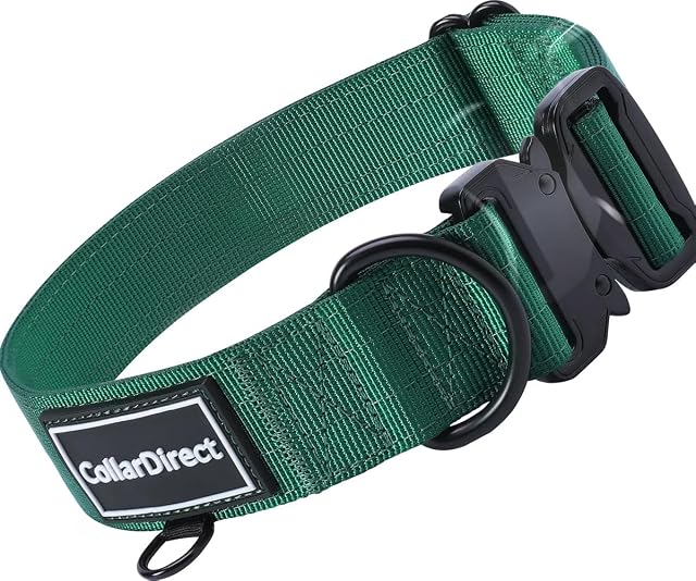 Collar para Perros Grandes o Medianos de Alta Resistencia, Collar Ajustable y Resistente para Perros Activos