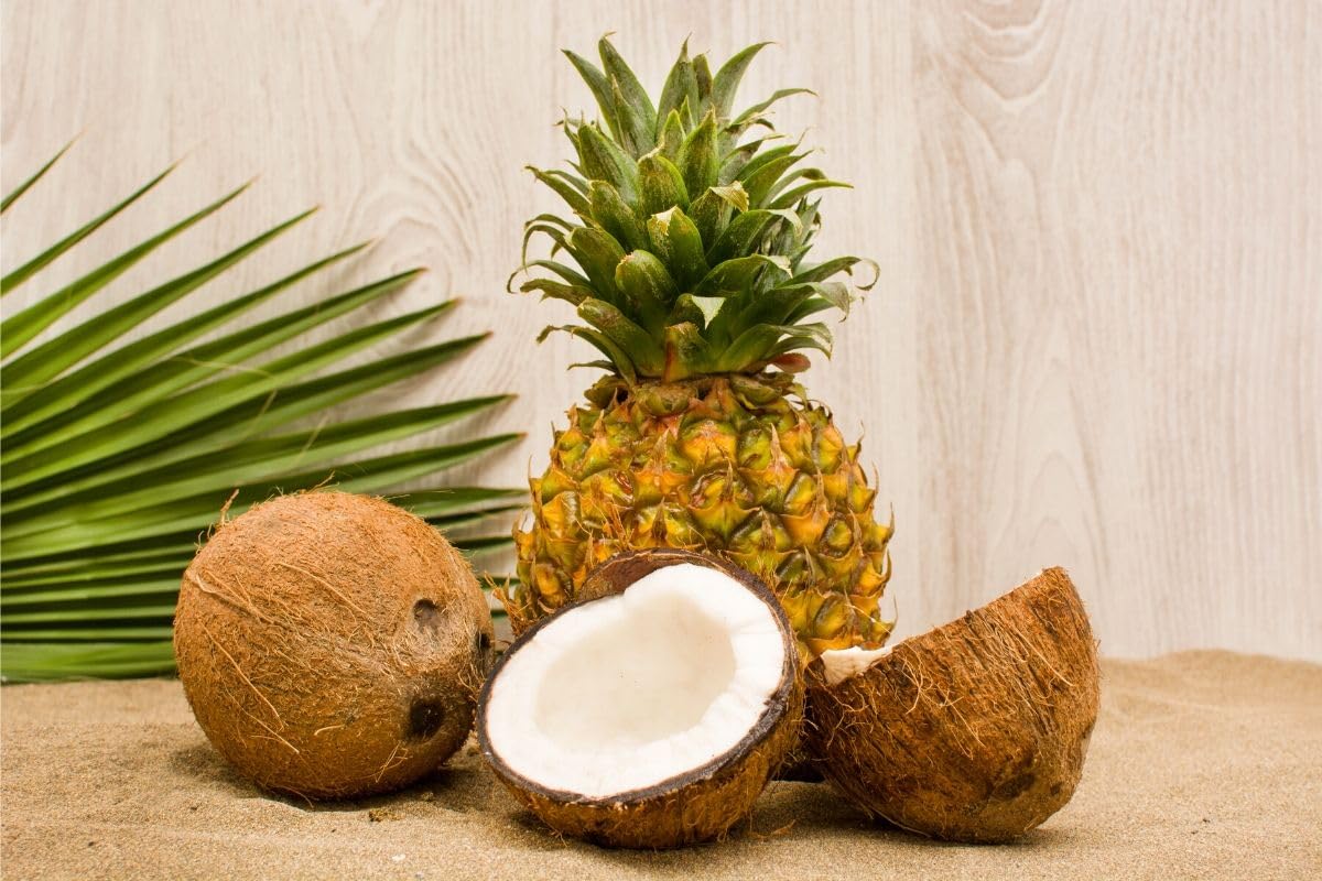 Ananas in Stücken mit Kokoswasser, gesunde frische Stücke natürlicher Ananas ohne Zusatzstoffe in Kokoswasser, 1190 g.