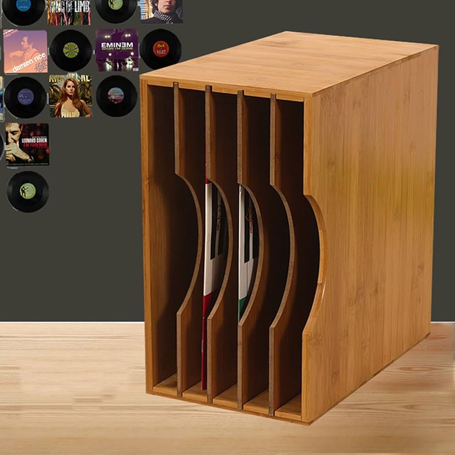 Amazon.com: Retro Nostalgia Vinyl Record Storage Rack LP