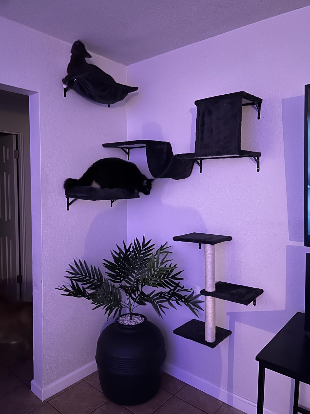 Hidden Litter Box Planter Base Kits