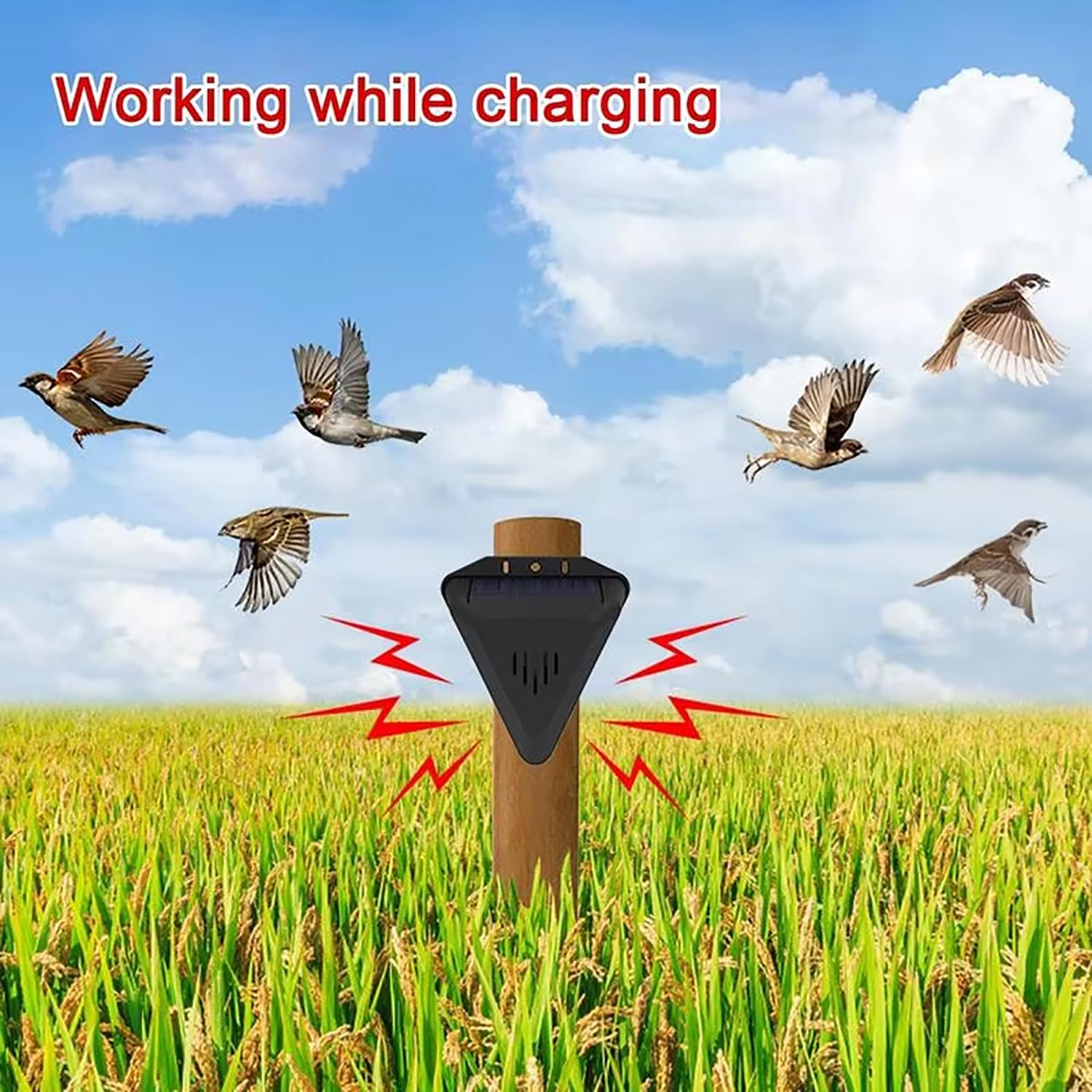 Solar Bird Rep-Eller Alarm Outdoor 129dB Warning Alarms Security Siren Built-in 13 Sounds Loud Noise Maker Waterproof Speaker for Farm Ranch Porch Balconies (2, Black)