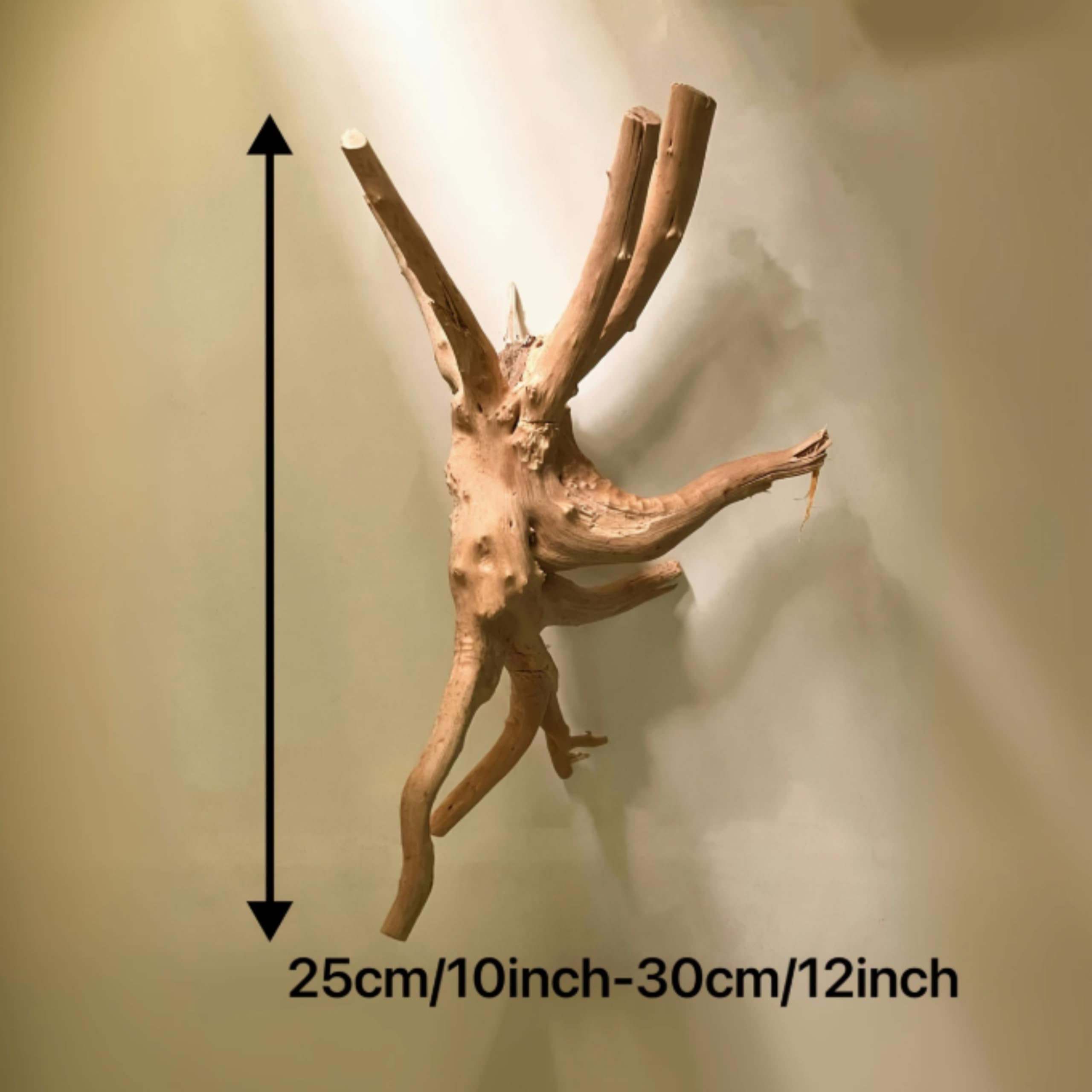 Bois Flotté Naturel pour Aquarium – 3 Tailles Disponibles (10–15cm │ 15–20 cm │ 20–25 cm) – Décoration 100 % Écologique , Cachettes & Refuge, Cycle Biologique Renforcé, Style Authentique (20 à 25 cm)