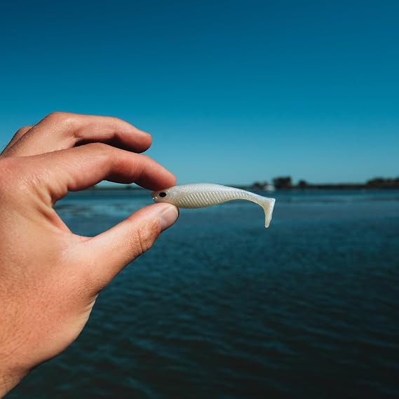 Nomad Design Live Ops Dozer 3 Minnow Unrigged Swimbait Soft Bait Lure, Slow-Speed High Vibration with Reactor-UV & Glow, Astro (5 Pack), for Speckled Trout & Redfish