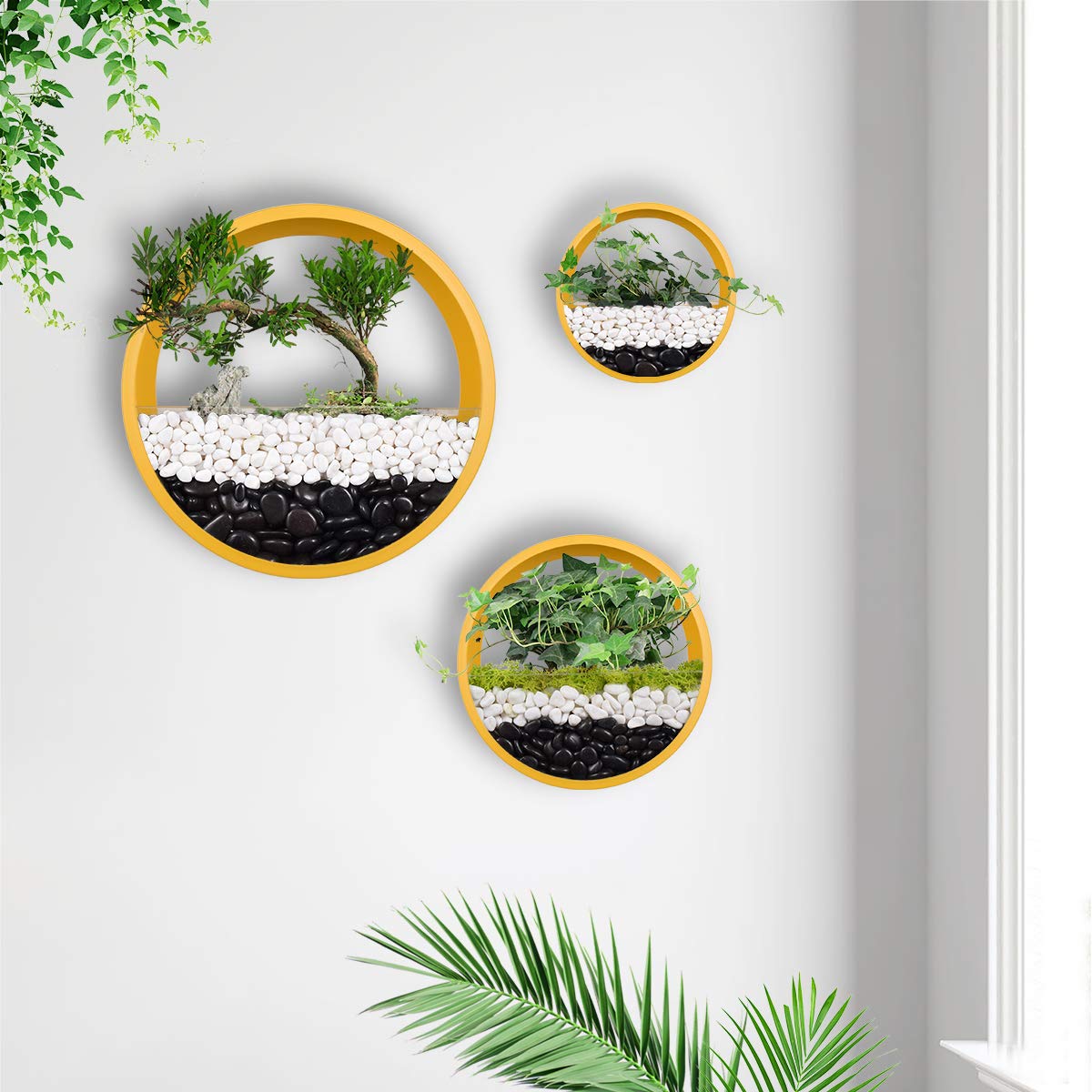 Austin Planter 12AS-N5pack 12 in. Clear Saucer - Pack of 5