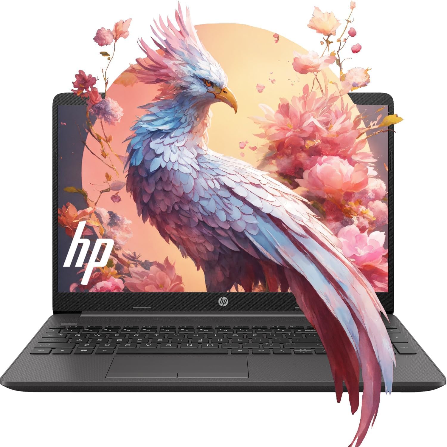Amazon.com: HP Newest Essential 15.6