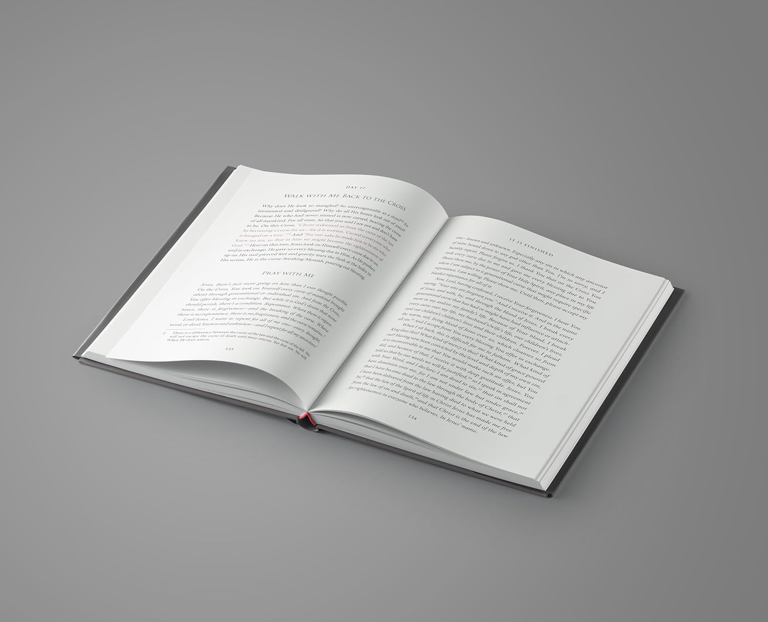 It Is Finished: A 40-Day Pilgrimage Back to the Cross - Image 5