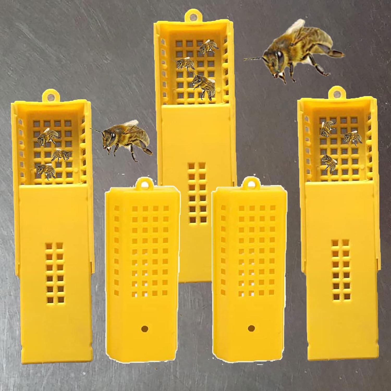 Produktbild von 5er-Pack Bienenkönigin-Clip Aus Kunststoff – Transparent, 6,6x5,1x4,8 Cm, Für Imker Zum Sicheren Fangen