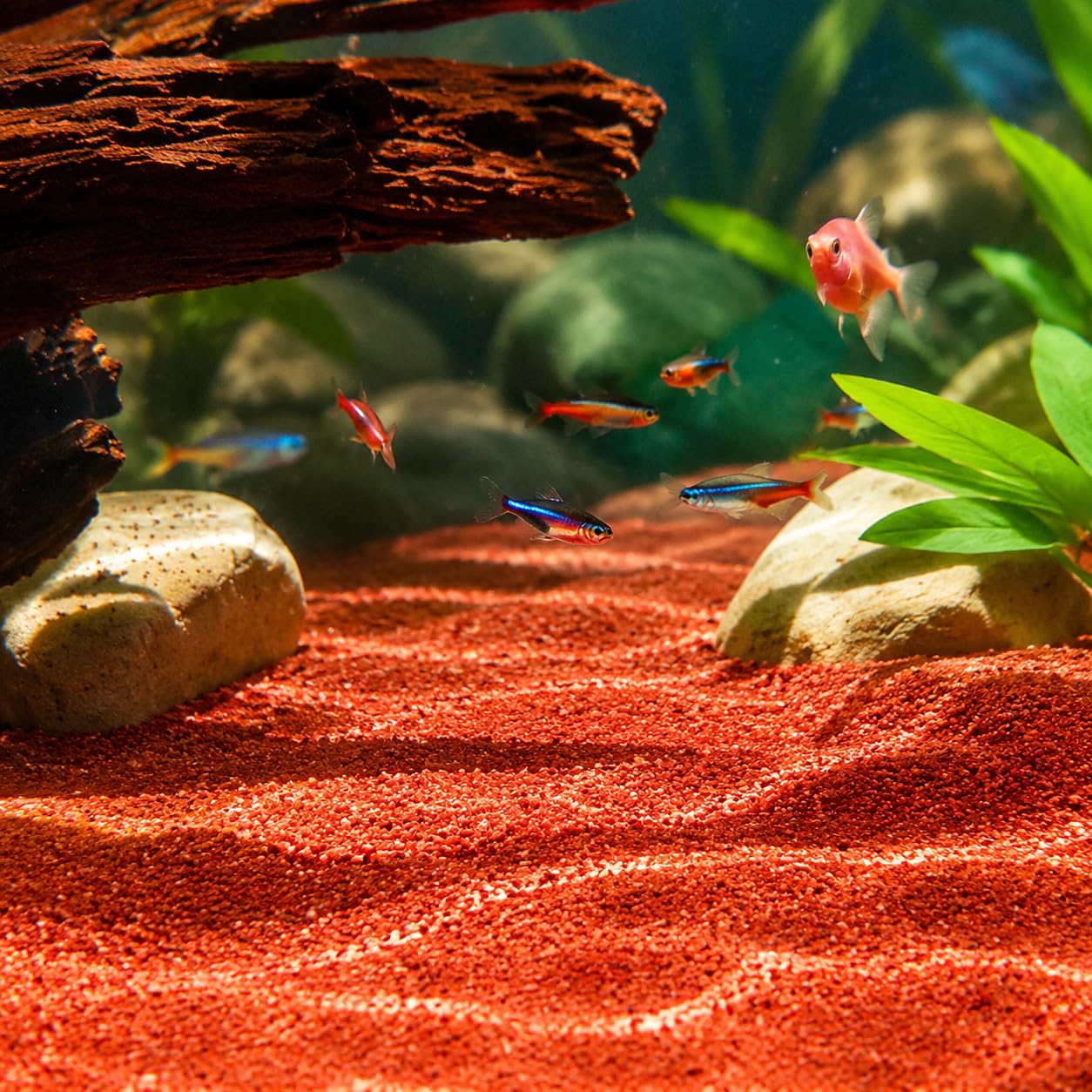 Pre, Sustrato para Aquarium Landscaping, Decoración Pecera, 5 kg Rojo y Negro/Rojo
