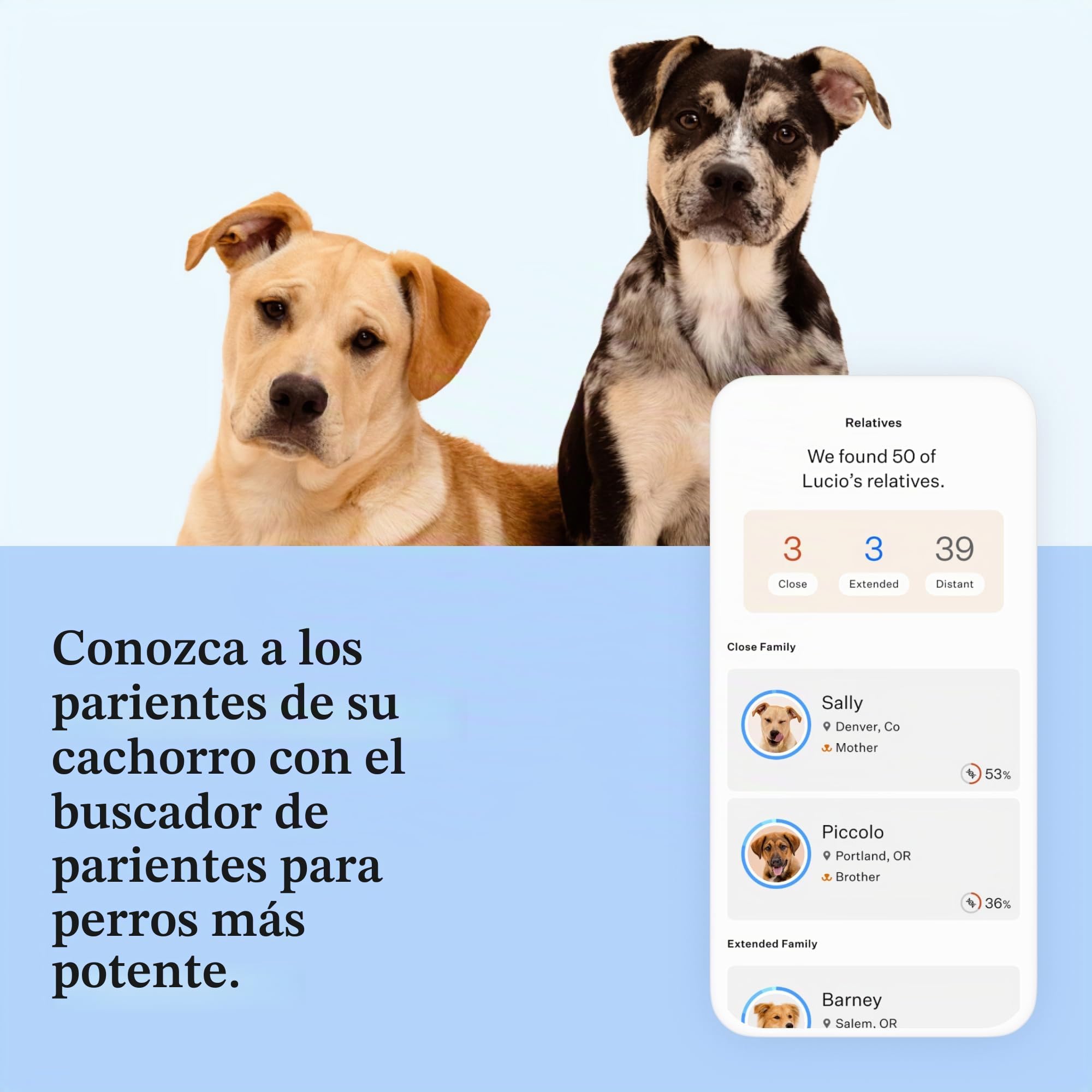 Wisdom Panel Esencial – Prueba de ADN para Perros ancestrales, Razas, propiedades y Pruebas de Salud