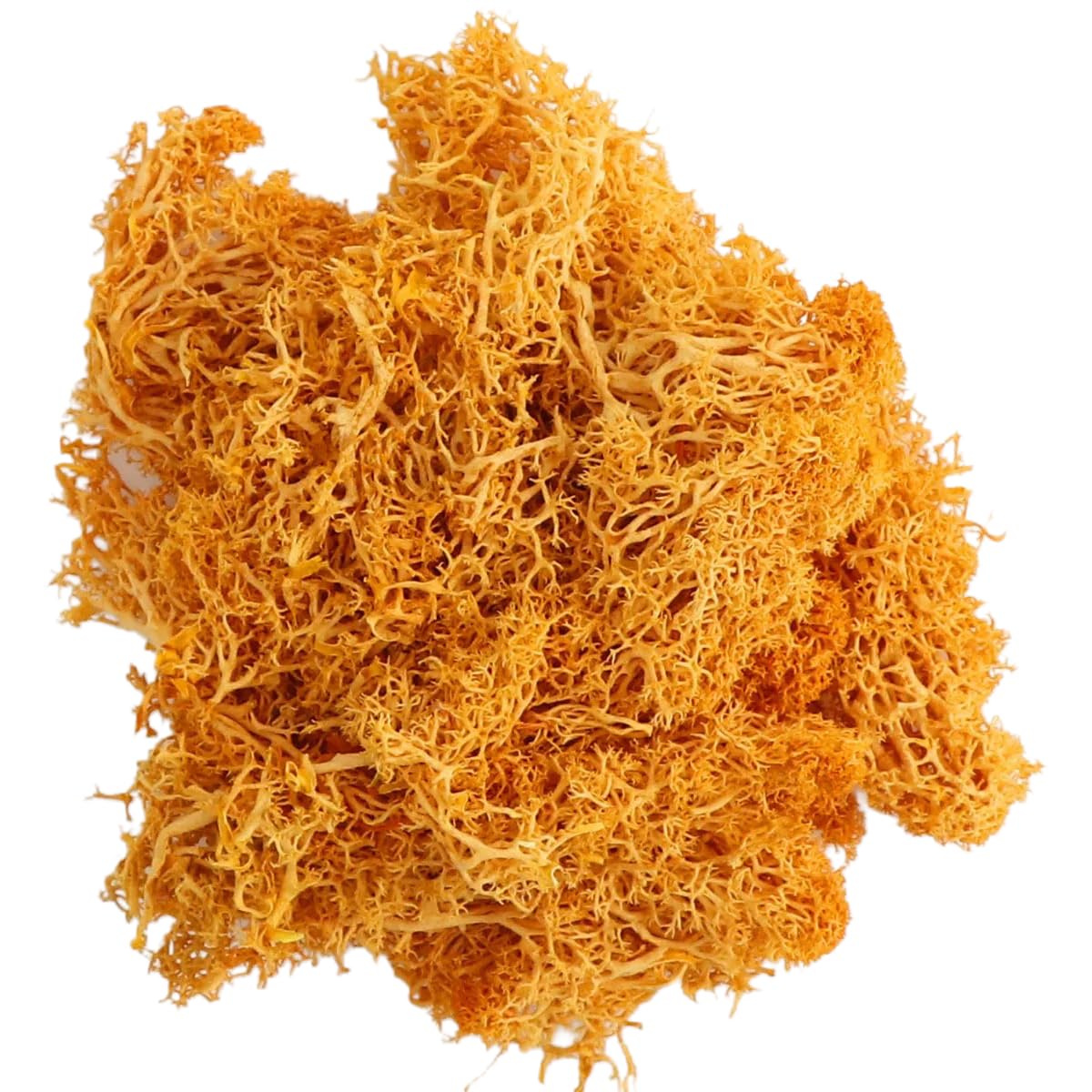 Plante artificielle mousse orange 200g art floral extérieur