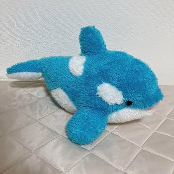 Amazon.co.jp: 鴨川シーワールド シャチ ぬいぐるみ 3匹セット