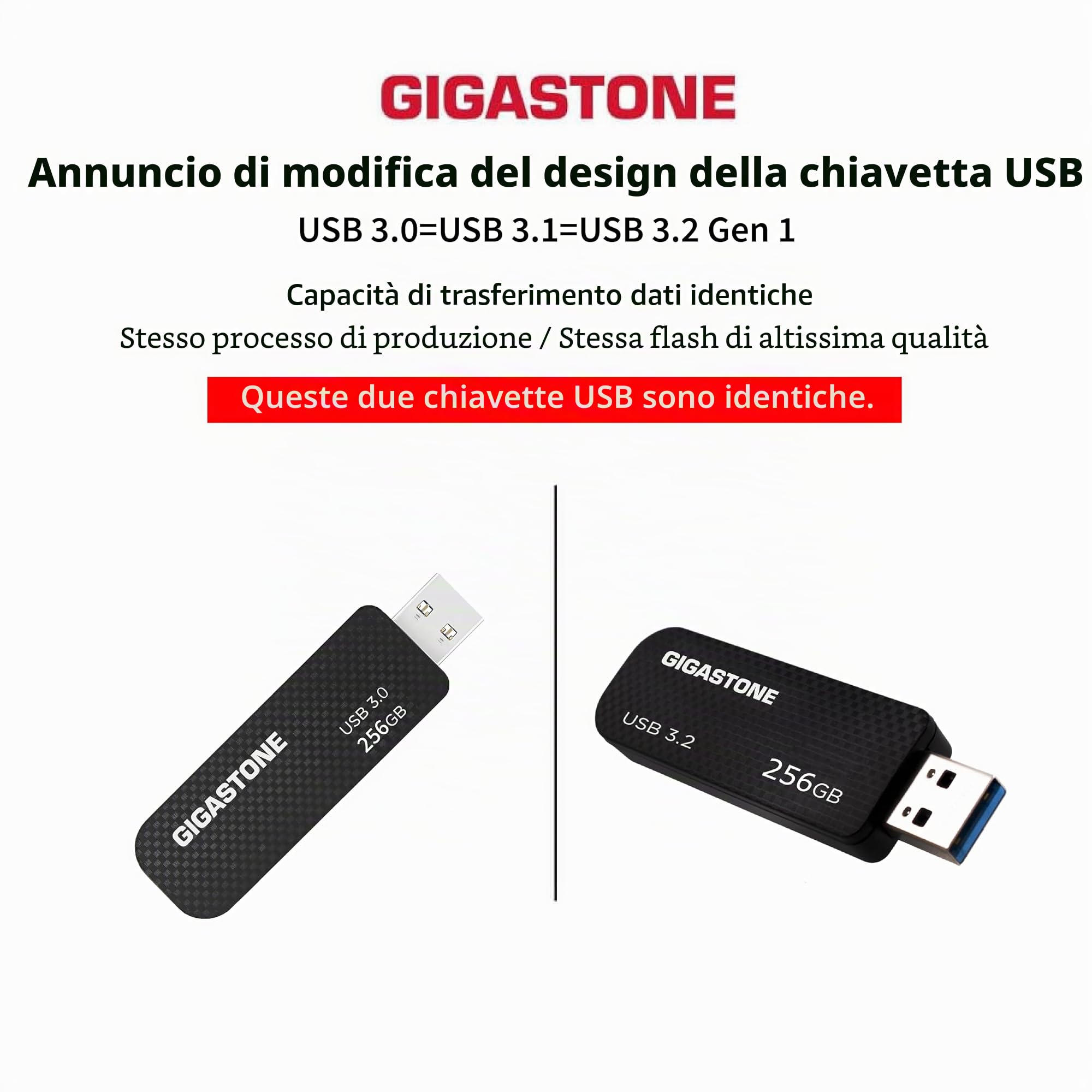 Gigastone Chiavetta USB 256 GB Set da 2, Z30 USB 3.2 Gen 1 Professional Serie, Senza cappuccio con design retrattile, compatibile con interfaccia USB 2.0 / USB 3.0 / USB 3.1