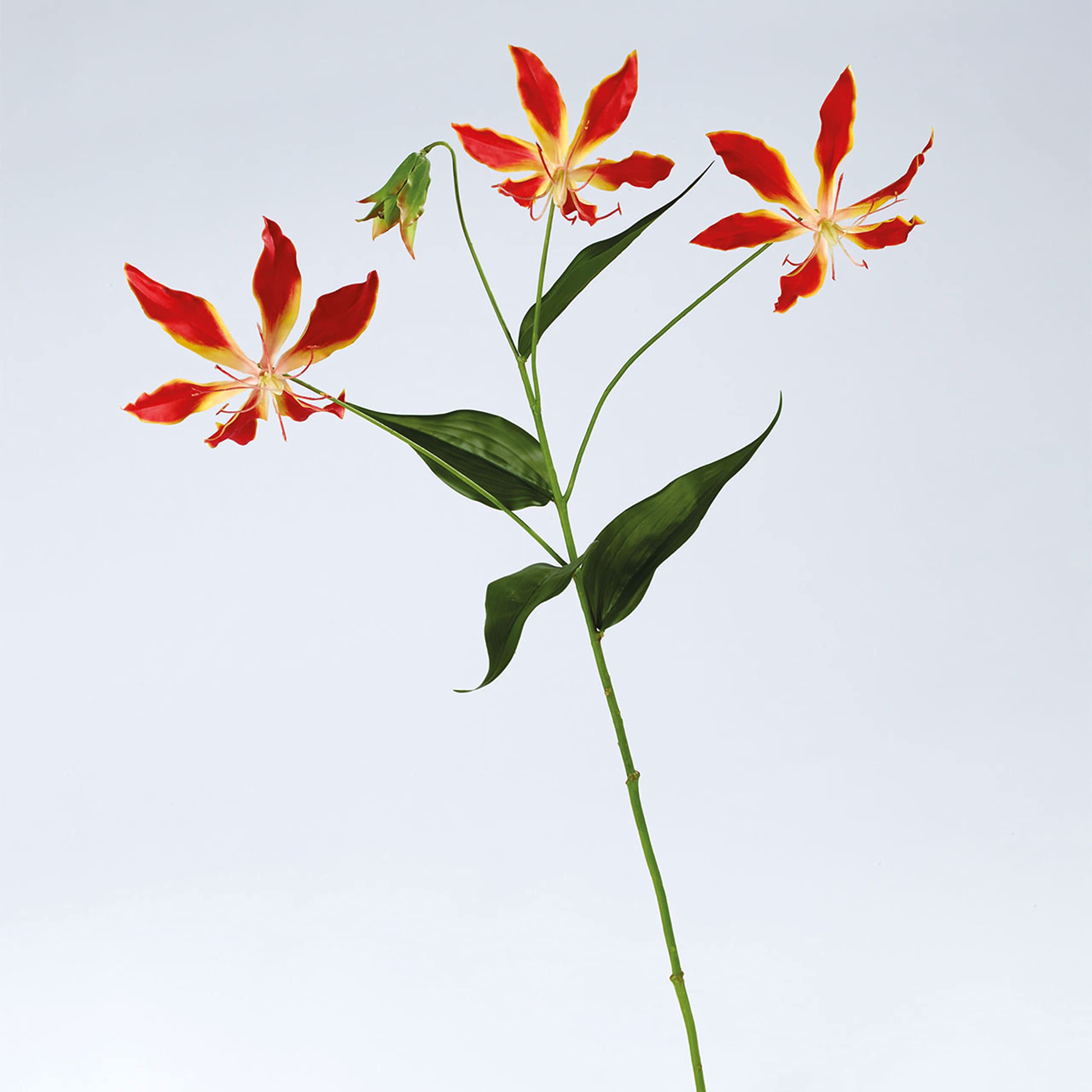 BLOOM Artificial Single Gloria Lily Stem 75cm - Faux Silk Flowers, Rustic Wedding Flowers & Decorations, Fake Foliage Flower Stems, Indoor Home Decor, Vase Not Included
