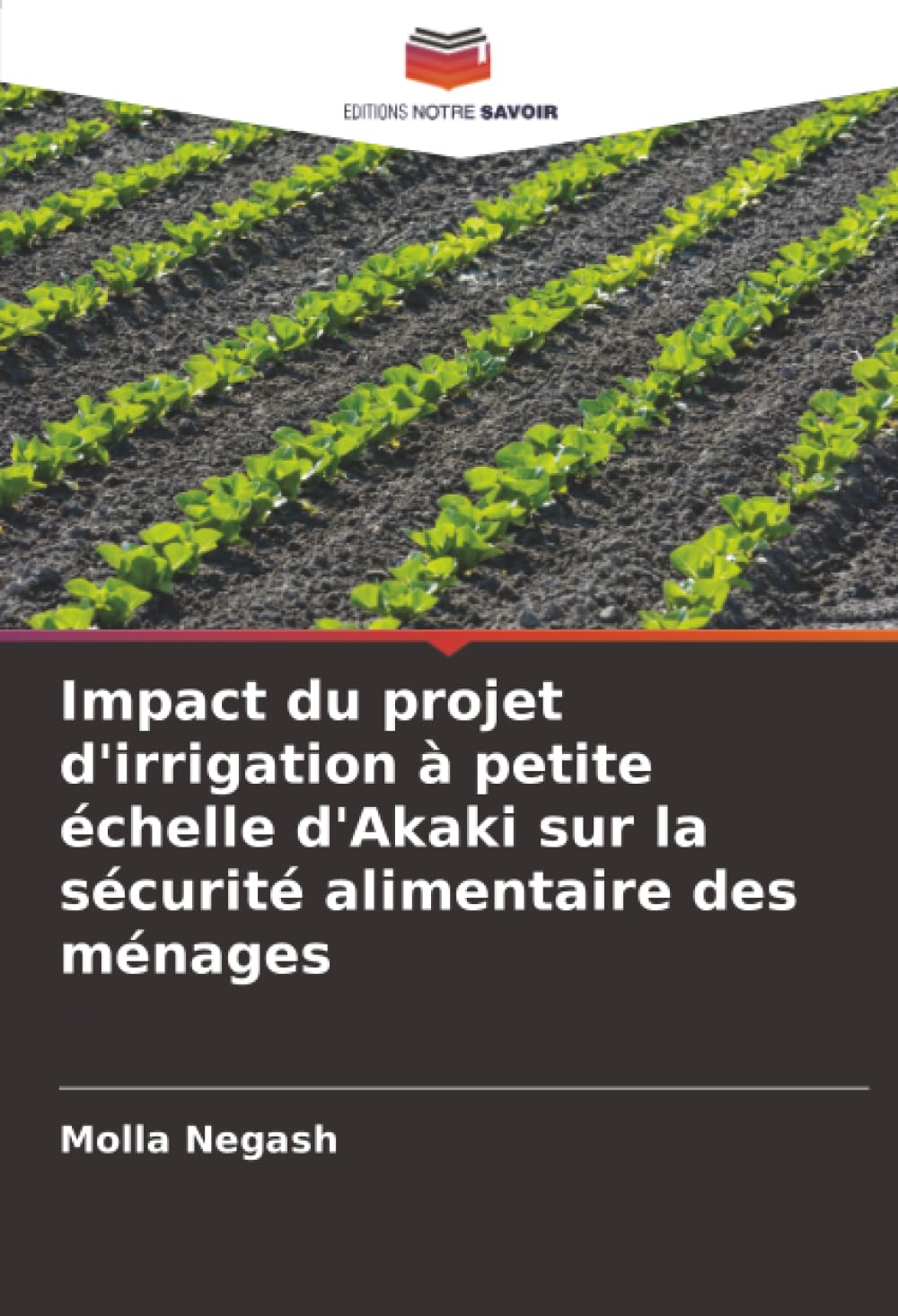 Impact du projet d'irrigation à petite échelle d'Akaki sur la sécurité alimentaire des ménages