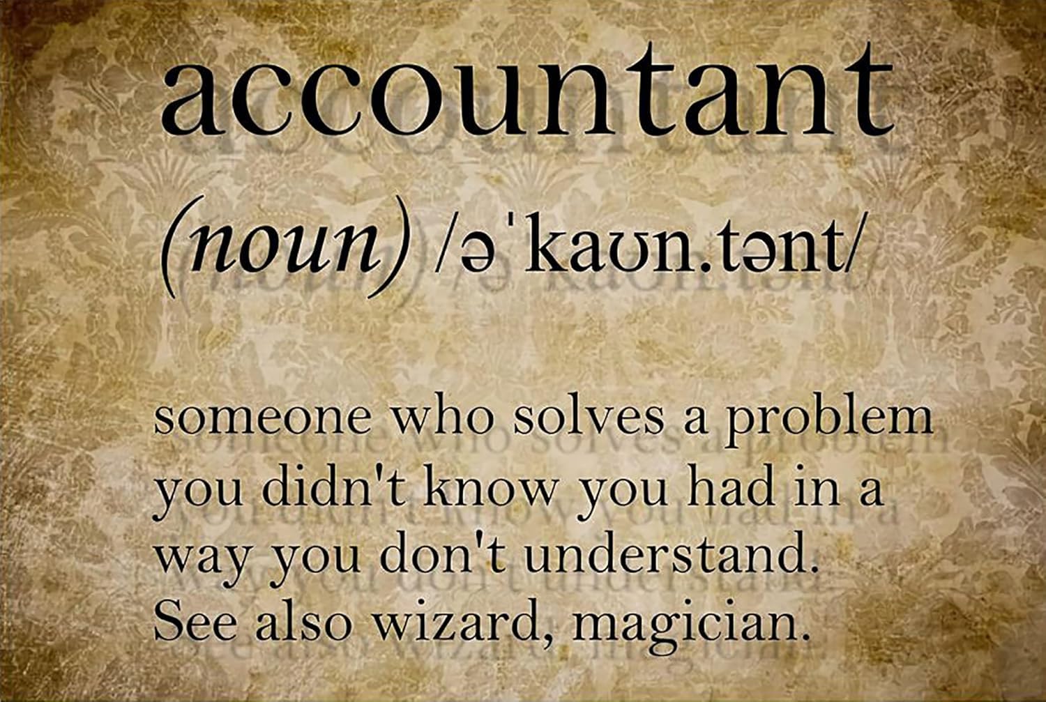 Accountant Definition Someone Who Solves A Problem You Didn't Know Aluminum Tin Sign Door Signs Exterior Home Cave Garage bar Country Poster Club Wall Plaque Decoration Retro Aluminum Sign 8"x12"