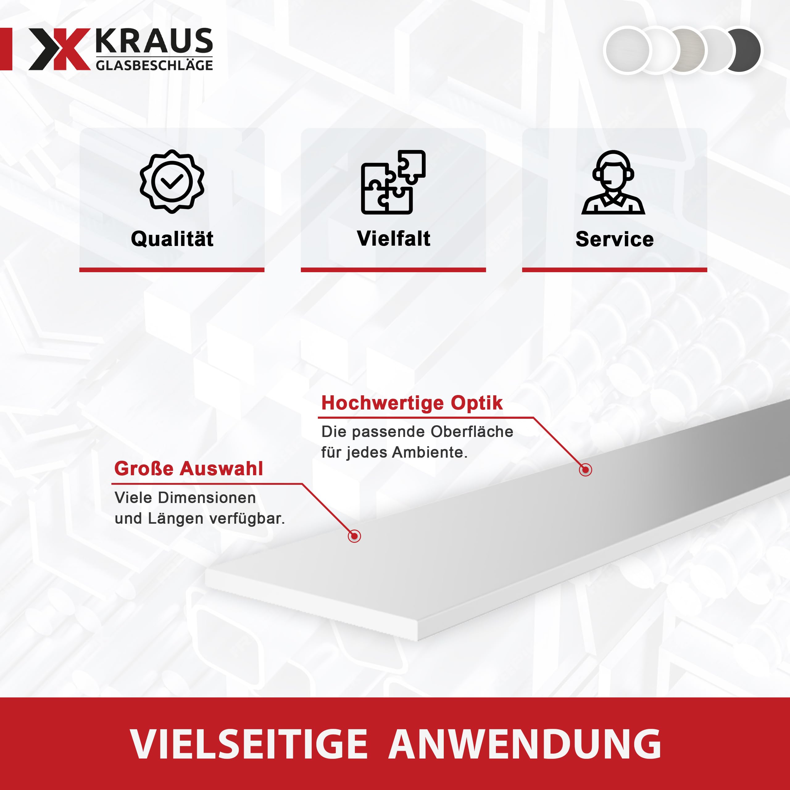 KRAUS Flach-Profil Aluminium 30x2mm mit 2m Länge & Optik Silbereloxiert