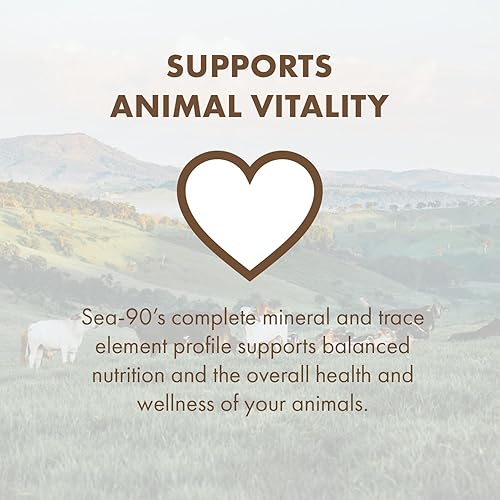 Miniatura 5 de Sea-90 Sal mineral premium, bolsa de 5 libras