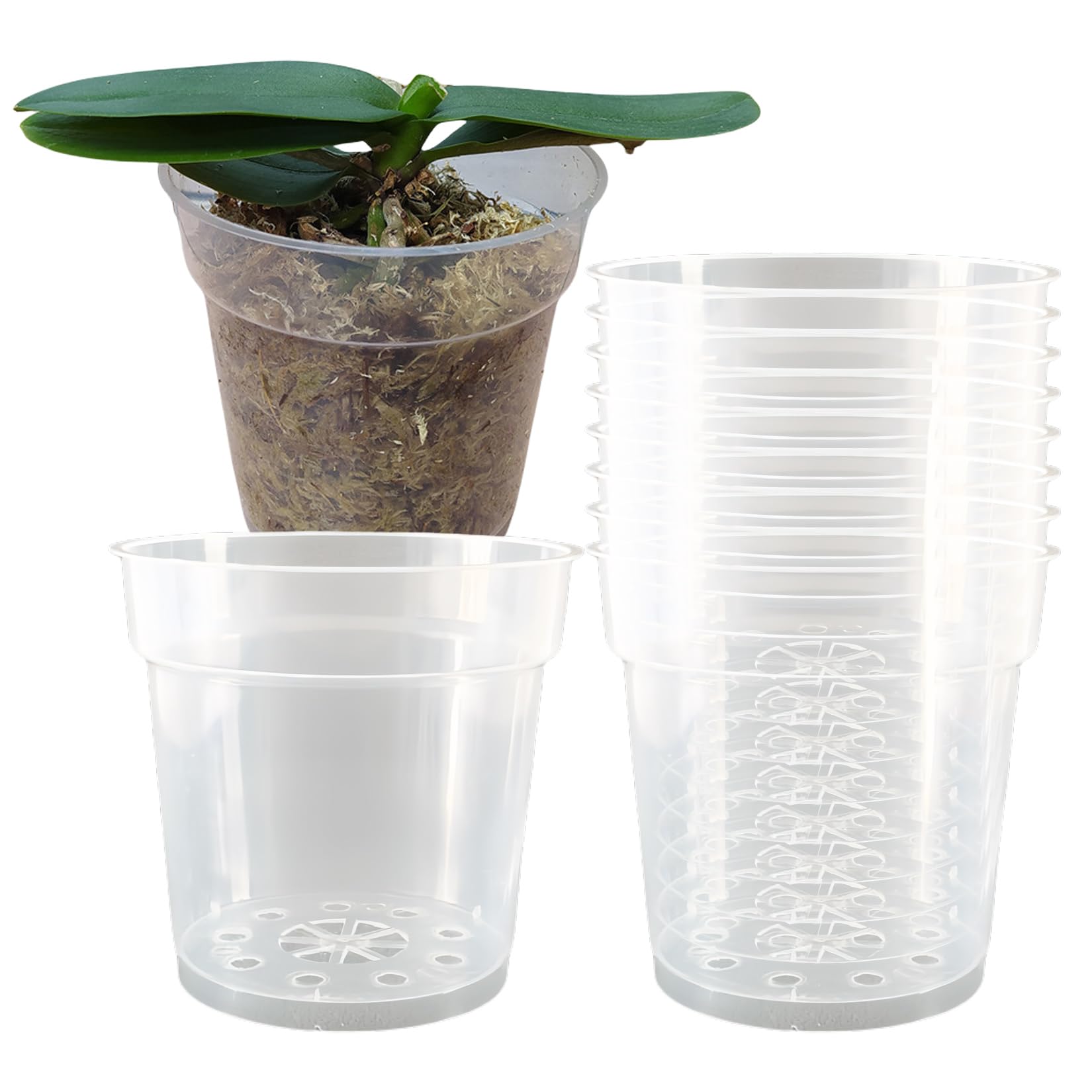 英国プラスチック植木鉢専用です PP鉢・6号 | D&DEPARTMENT