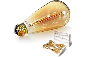 Incandescent Edison Light Bulbs - Dimmable Bulb