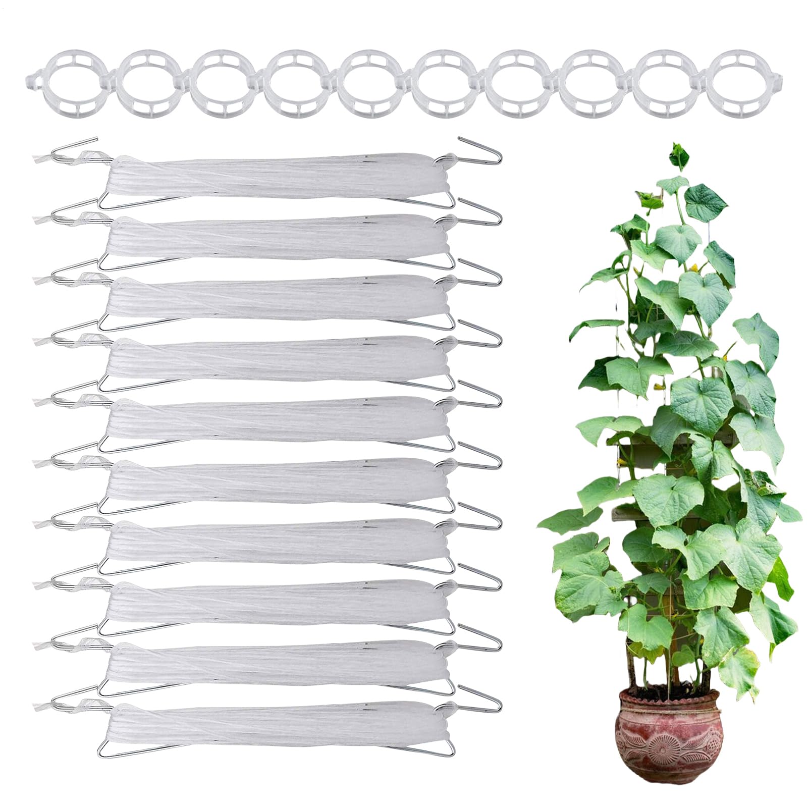 Ganci Per Pomodori Con Spago 10 Pezzi Riutilizzabili Per Uso Intensivo | Clip Per Piante Rampicanti E Ganci Per Spago Di Per Esterno Verdura Frutta Piante Fiori Cetriolo Anguria Uva Luffa