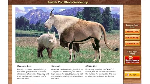 Switch Zoo