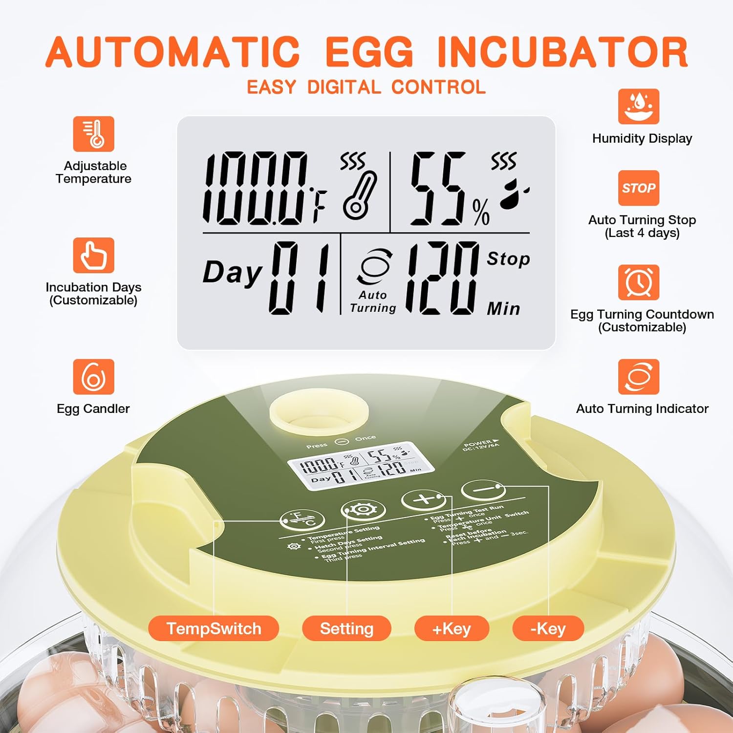 18 Egg Incubator, Incubator for Hatching Eggs, Automatic Egg Turning and Humidity Temperature Control, Egg Candler, Hatch Day, Automatic Water Refill, for Chicken, Ducks, Quail, Goose, Pigeon