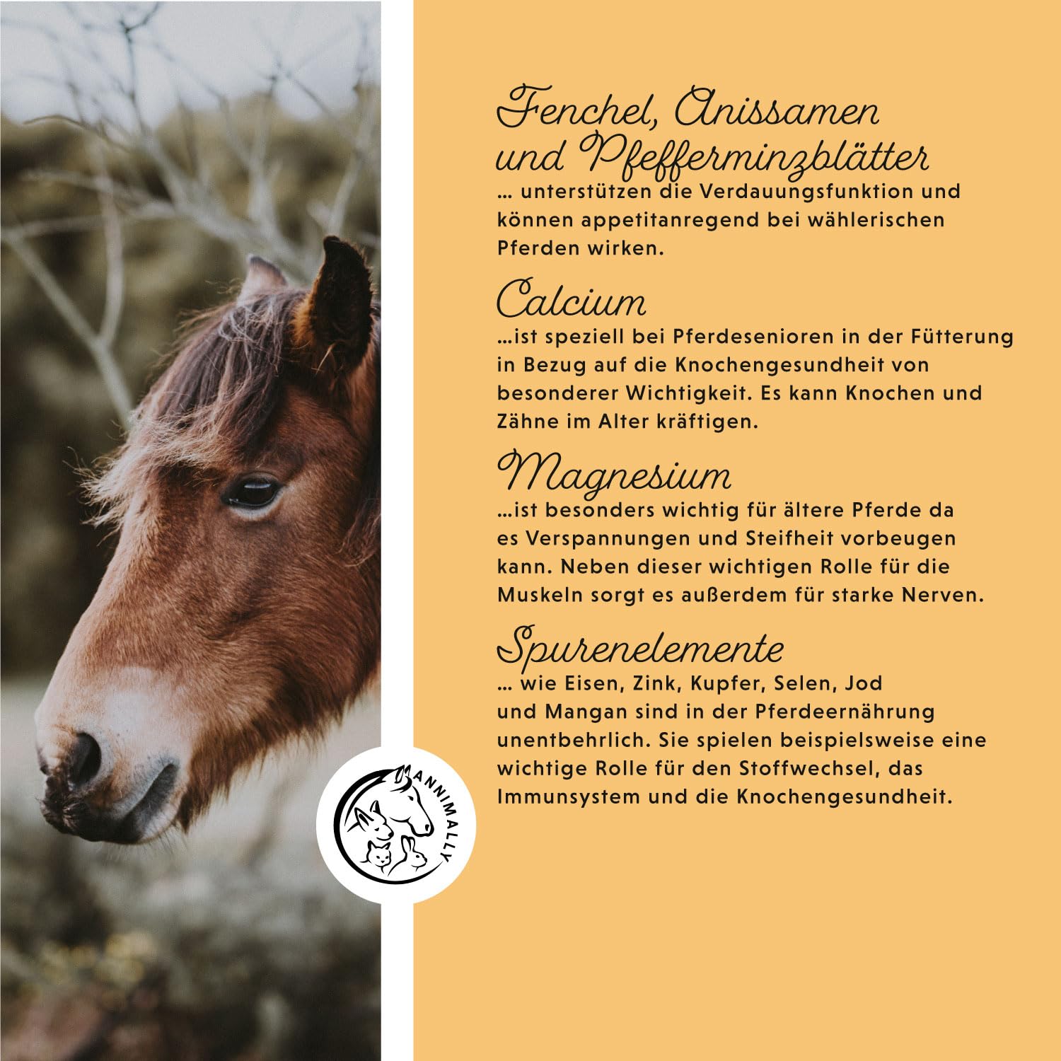 Annimally Senior Mineralfutter Pferde getreidefrei - Ergänzungs Pferdefutter für Senior Pferde mit Vitaminen, Mineralstoffen und Spurenelementen, wie Zink, Selen, Omega 3 & Jod (3 kg Eimer)