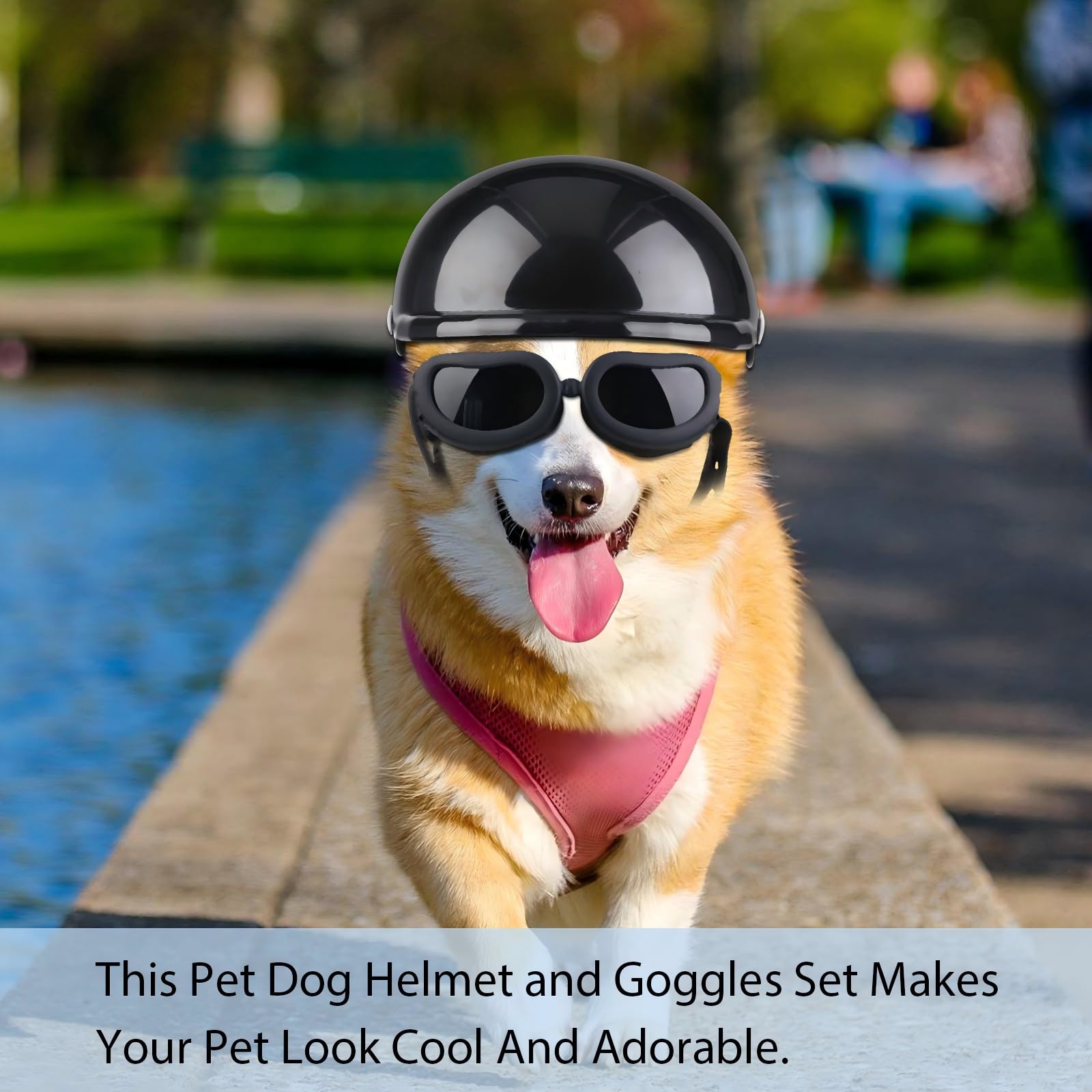 Frienda Dog Helmet and Goggles, UV Protection Doggy Sunglasses and 4 Inch Padded Puppy Motorcycle Helmet Adorable Dog Goggles with Adjustable Belt for Small Dogs Puppy Riding(Black,S)