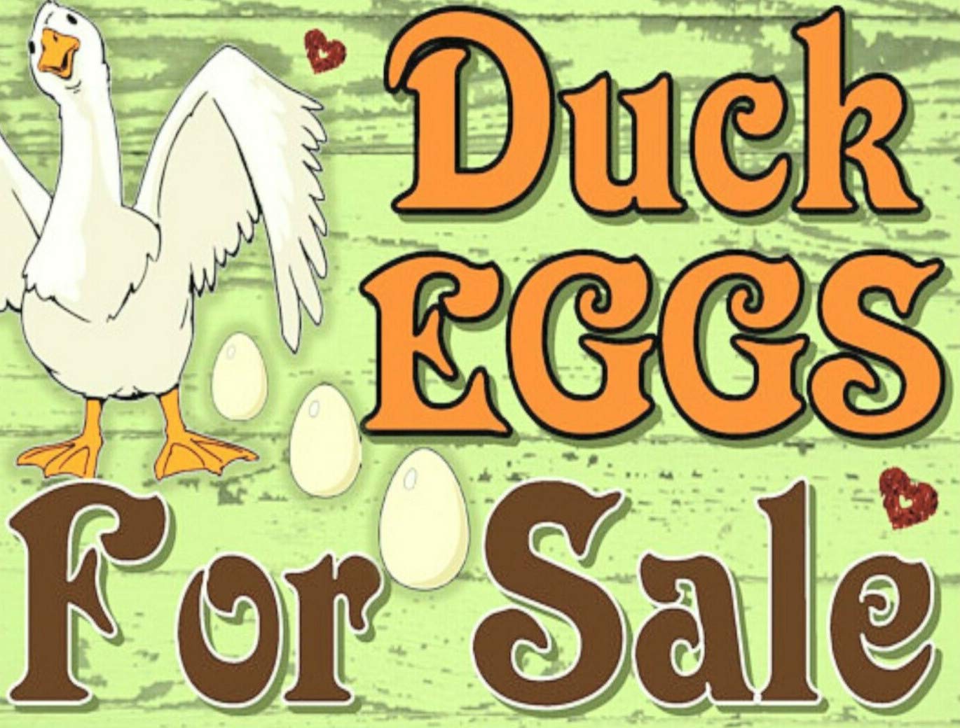 Kueprae A720 8X12 Inch Duck Eggs For Sale Here Is The Farm Plate Metal Sign