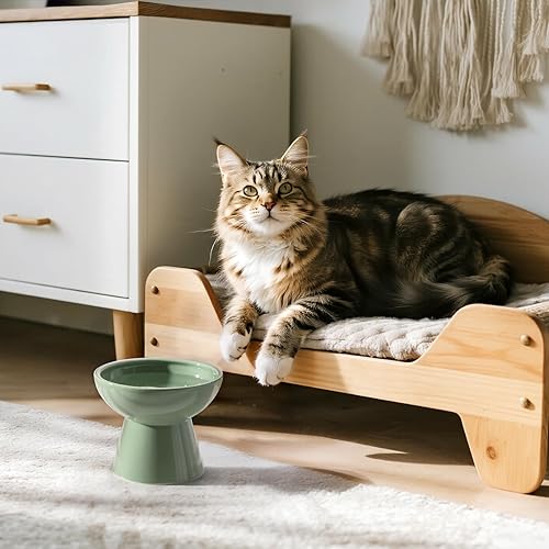 Miniatura 3 de Cuenco de agua elevado extra ancho de cerámica para gatos, plato más profundo de 6.2 pulgadas para aliviar la fatiga de los bigotes, 5 pulgadas de