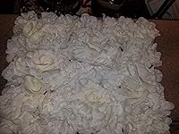 Review Image by Asim Asim