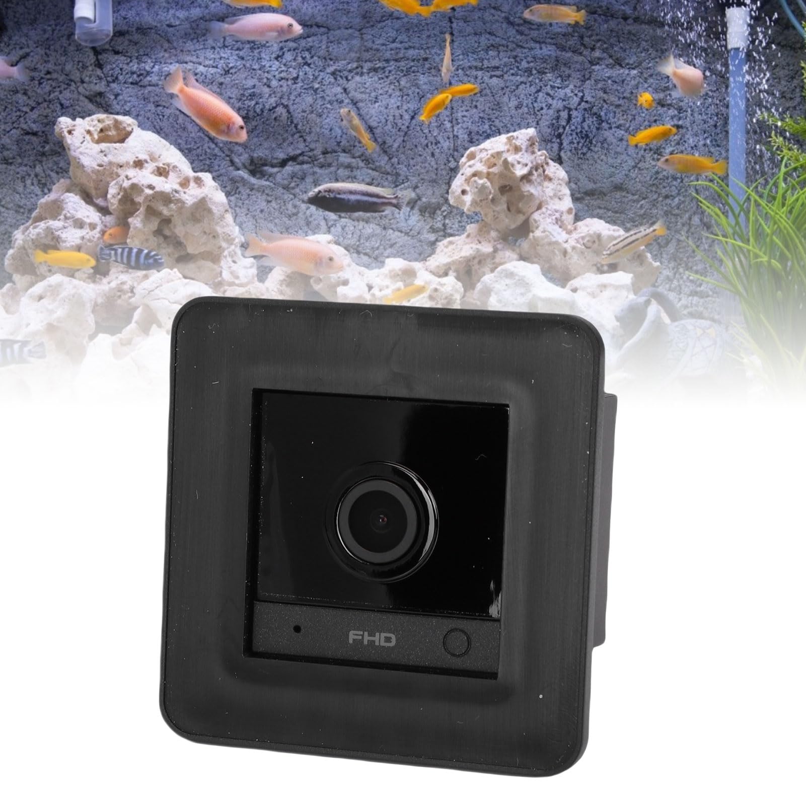 Bewinner Caméra d'Aquarium WiFi HD 2K avec Objectif Anti-éblouissement, Moniteur de Terrarium Grand Angle 140, Détection de Mouvement AI, Vision Nocturne