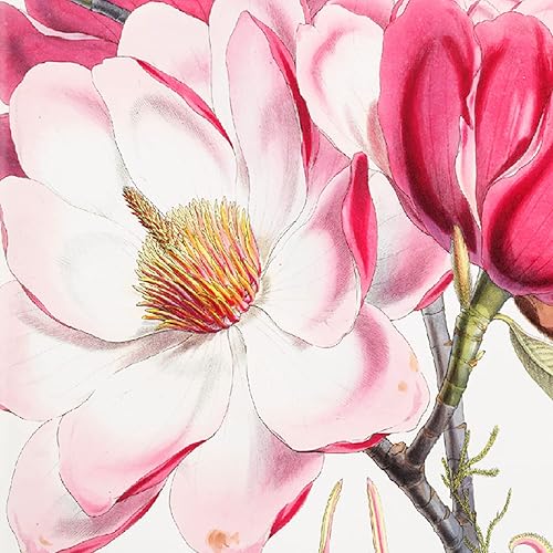 Vista 8 de RICCO BELLO Cuaderno con forro de diario con soporte para bolígrafo, tapa dura, a rayas, para el trabajo, notas 96 hojas 192 páginas con forro