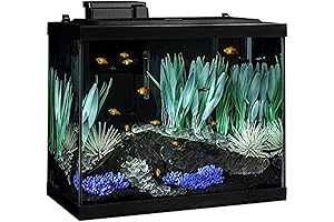 Tetra ColorFusion Aquarium 20 Gallon: Add Color to Your Home's Decor