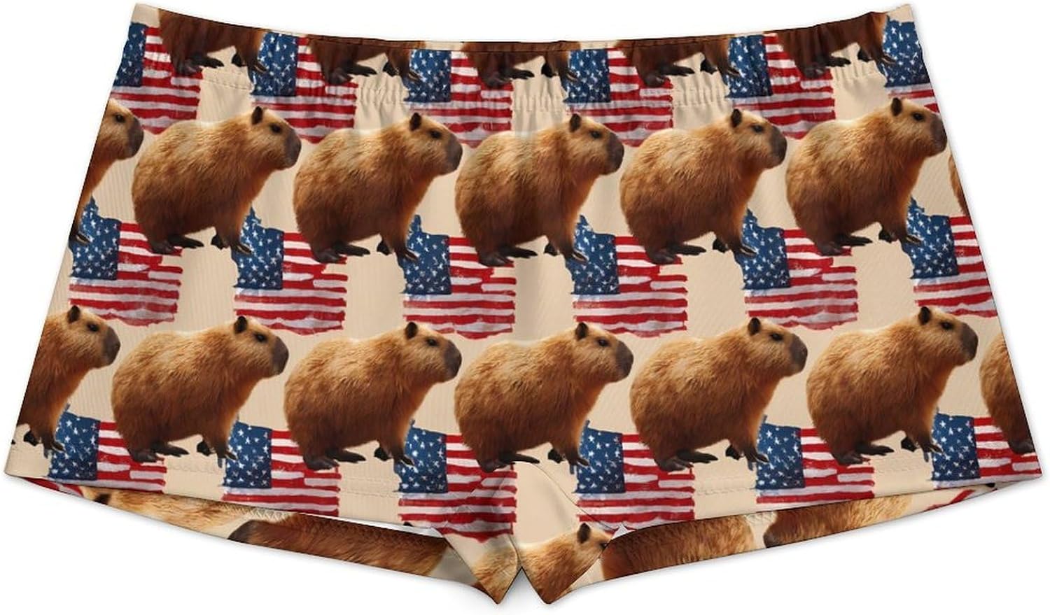 Capybara U.S. Flag Funny Women's Boxer Briefs Breathable Underpants Trunks Stretch Underwear