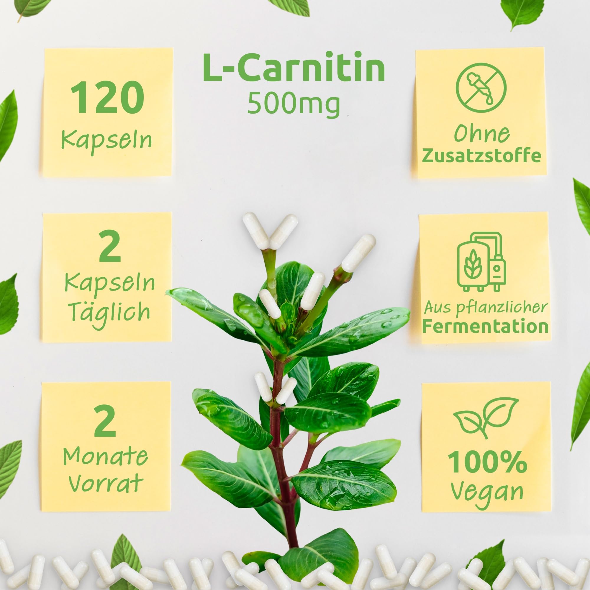 hardline l carnitine thermo Liquid L-Carnitine - Hosstile