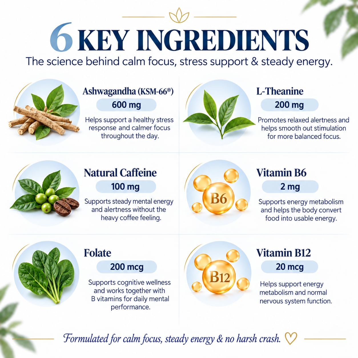 Calm Energy for Women 30+ & Busy Moms – No Jitters, No Crash Energy & Focus Supplement – KSM-66 Ashwagandha, L-Theanine 200mg & Natural Caffeine 100mg, Methyl B12 – Vegan, 60 Capsules — Amazon image 5