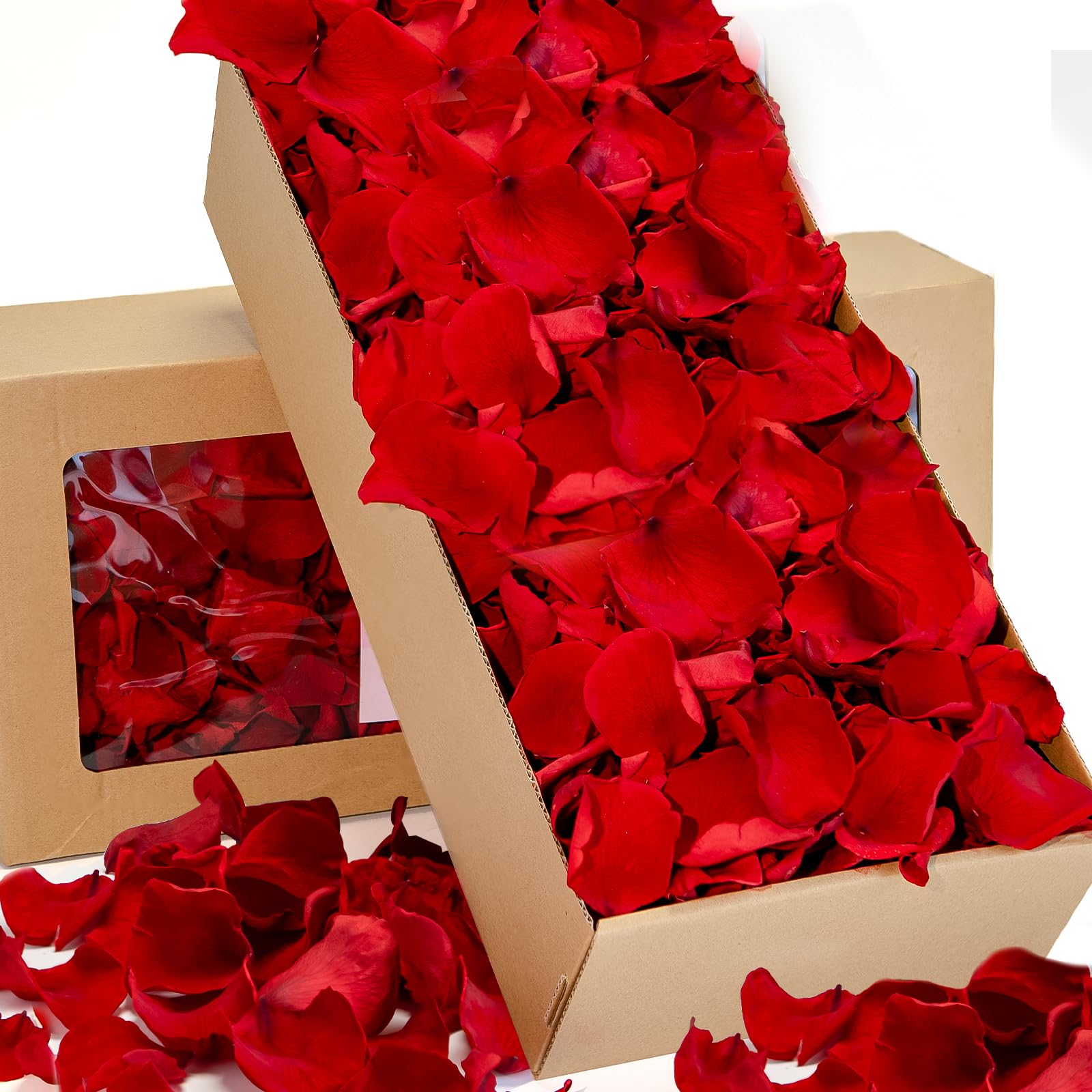 1000 + Stück echte rote Rosenblätter, 241 g getrocknete Blumen-Konfetti-Blütenblätter | Hochzeits-Blumenmädchen zum Werfen auf Hochzeitsfeier, romantische Nacht, Brautparty, Valentinstagsdekoration
