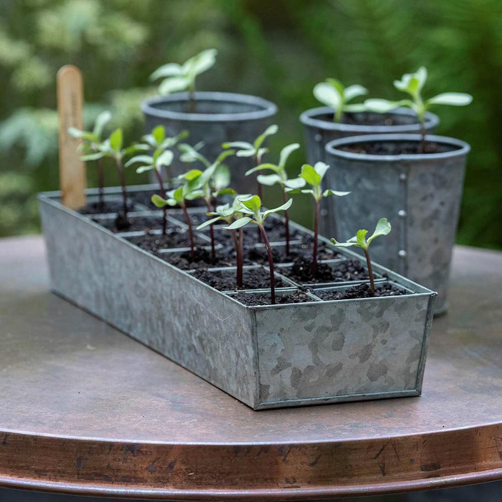 Crocus Collection Set of 12 Metal Galvanised Grow Pod Planters Square Bottomless Pots in Rectangular Reservoir Tray