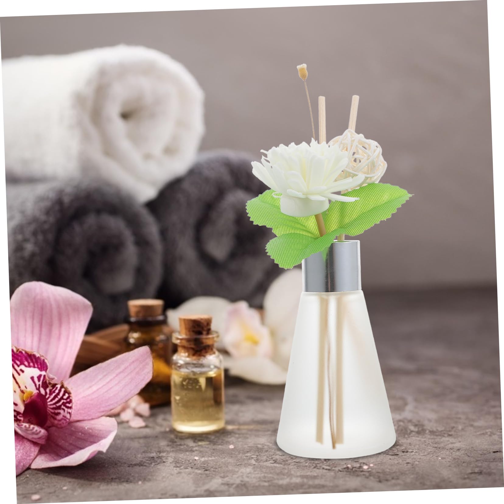Cabilock Duftdiffusor Glasflaschen für Trockenblumen Dekorativ und Praktisch für Wohnzimmer und Küche 3 Stück-Pack