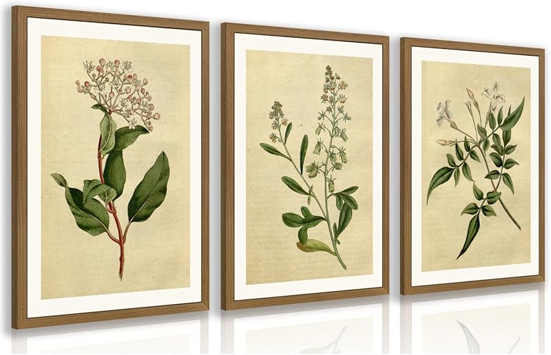 Wood Framed Vintage Botanical Art Set of 3 — $70