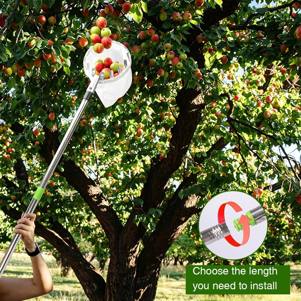 Cueille Fruits à Manche Télescopique, Longueur Réglable