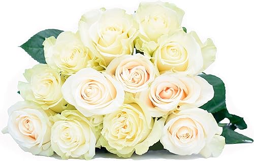 Miniatura 9 de Greenchoice Flowers - Rosas