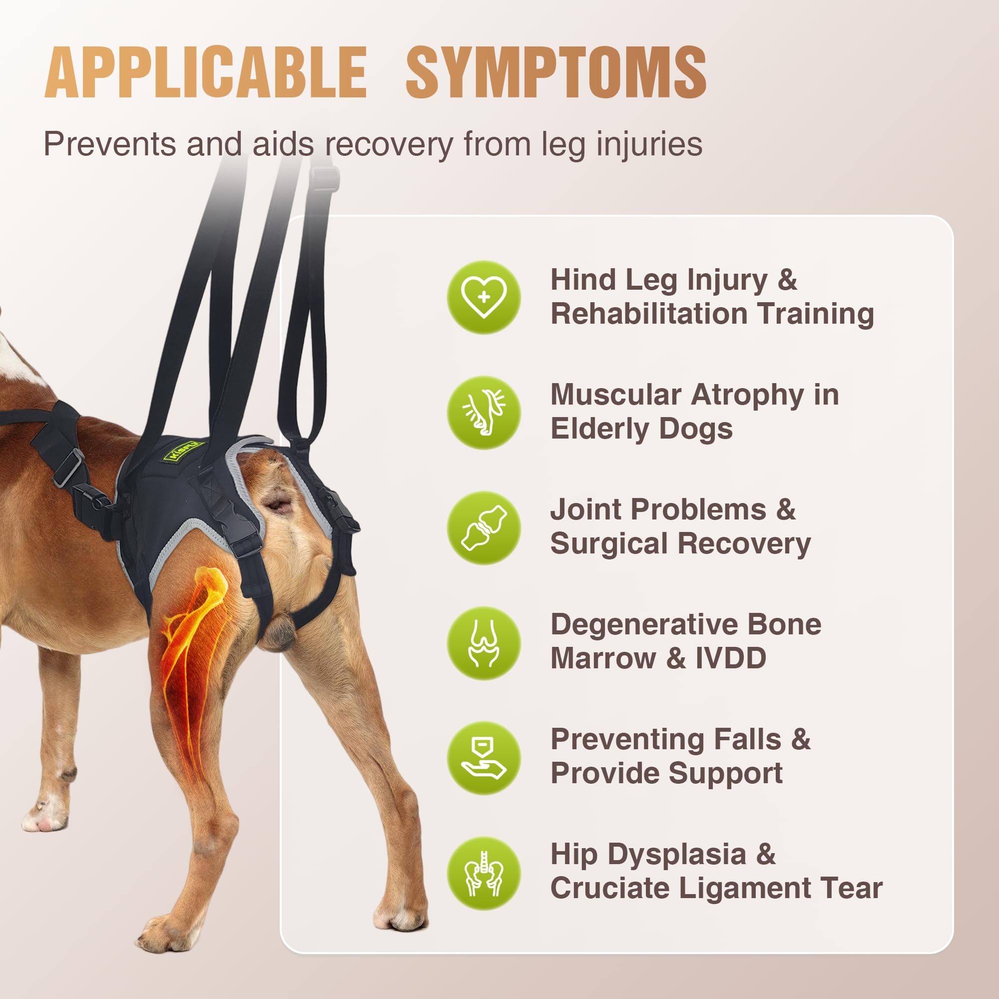 Arnés de elevación para perros pequeños, correa ajustable para displasia de cadera, artritis, discapacidad de patas traseras y recuperación postoperatoria, proporciona apoyo y ayuda a caminar,